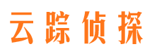 洛龙市侦探调查公司